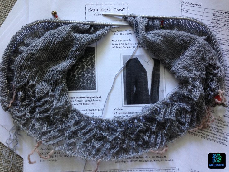 Sara Sale Cardigan-01.05