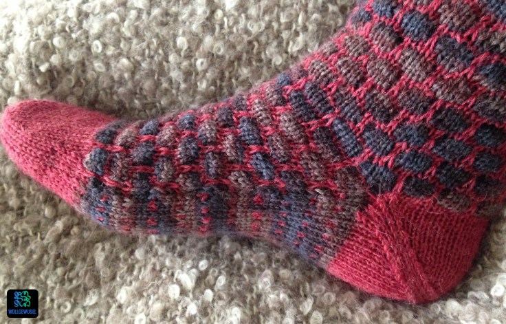 Socken Caja_fertig.11