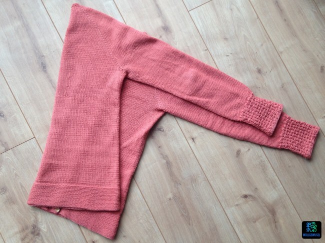 Cardigan Tau_fertig.07