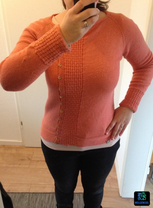 Cardigan Tau_fertig.12