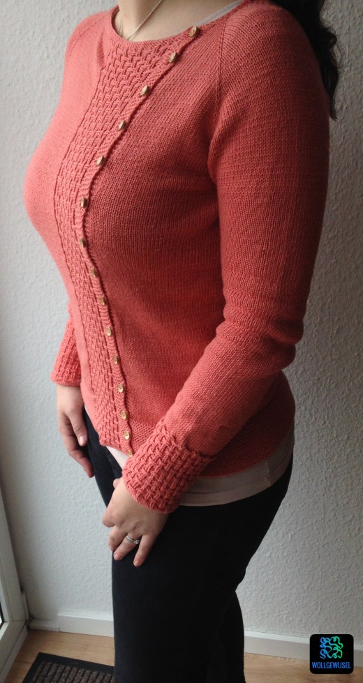 Cardigan Tau_fertig.15